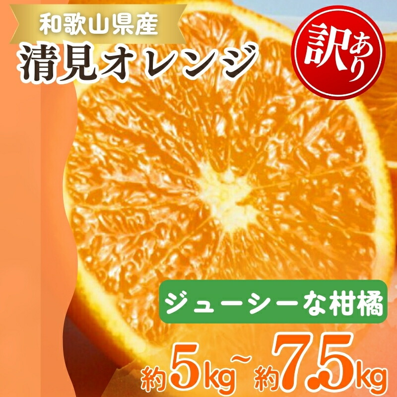【ふるさと納税】 【ご家庭用訳アリ】紀州有田産清見オレンジ 約5kg 約7.5kg ※2026年3月下旬～2026年4月中旬頃に順次発送予定(お届け日指定不可)