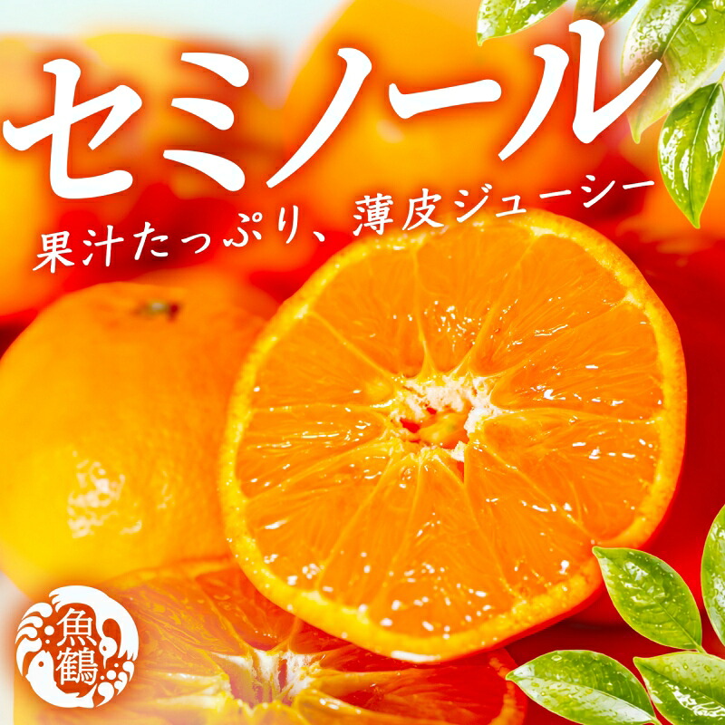 【ふるさと納税】 【先行予約】 ジューシー柑橘　セミノールオレンジ　5kg 【2027年5月上旬～5月下旬頃発送予定】｜和歌山県太地町