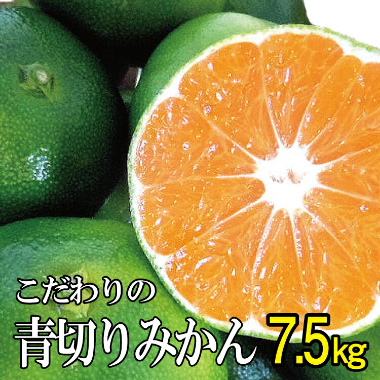 海外最新 楽天市場 ふるさと納税 農家直送 こだわりの青切りみかん 約7 5kg 有機質肥料100 21年9月下旬より順次発送予定 お届け日指定不可 和歌山県太地町 上質で快適 Lexusoman Com