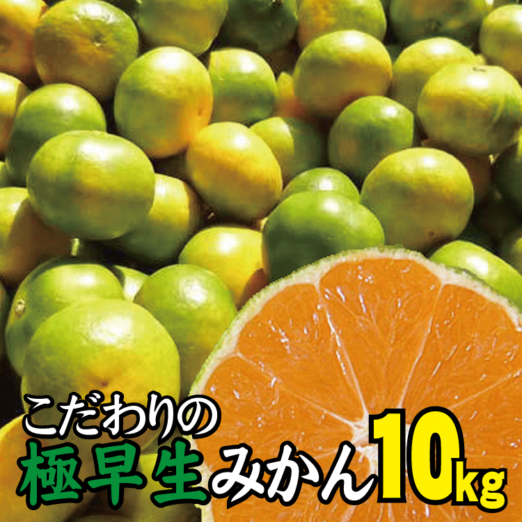 ふるさと納税 農家直送 こだわりの極早生みかん 約10kg 数量限定 有機質肥料100 サイズ混合 21年9月下旬より順次発送予定 お届け日指定不可 Psicologosancora Es