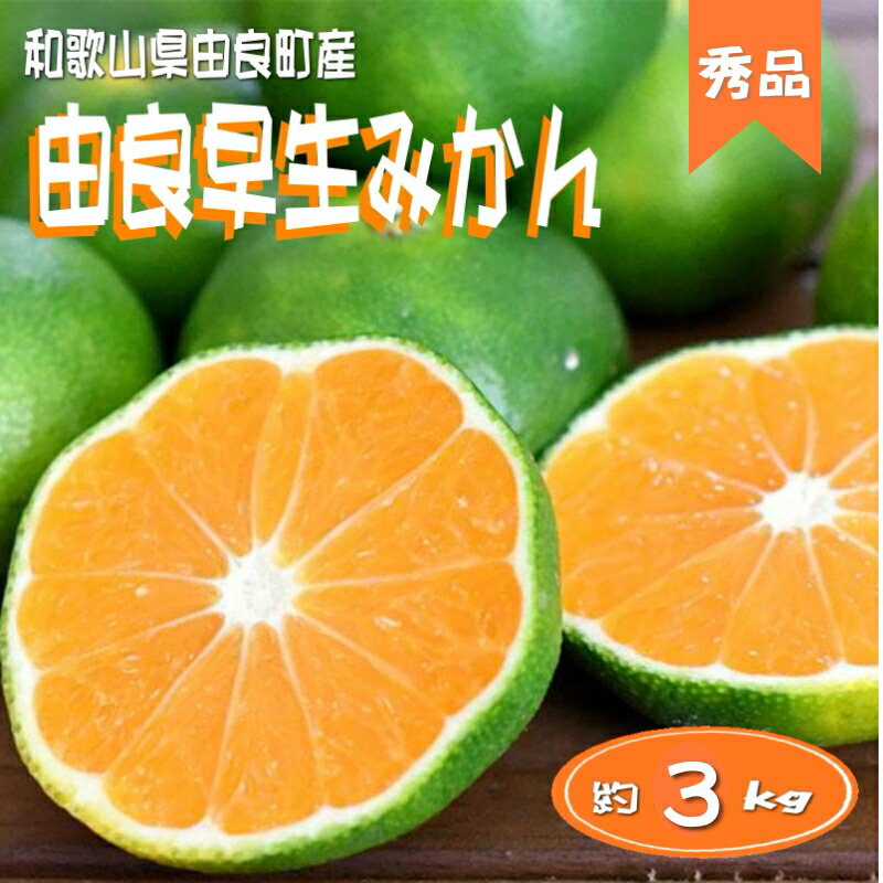 【ふるさと納税】 【秀品】和歌山由良町産 由良早生みかん 約3kg サイズおまかせ (Ｌ～２Ｓ) いずれかお届け ミカン 柑橘 みかん 和歌山　※2026年10月上旬～10月下旬頃に順次発送（お届け日指定不可）｜和歌山県古座川町 8,580円