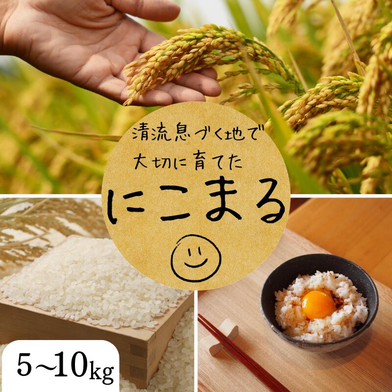 【ふるさと納税】令和７年度産 秘境の地からお届けする あゆみファームのお米 にこまる 5kg～10kg【2025年10月下旬以降順次発送】/ 米 お米 にこまる 5kg 10kg 精米 和歌山｜和歌山県古座川町