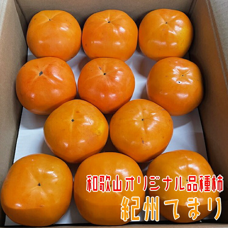 【ふるさと納税】 【秋の美味】【和歌山ブランド】 紀州てまり 22～32玉 【和歌山オリジナル品種柿】 2025年11月上旬～11月下旬頃発送予定【GO-09】