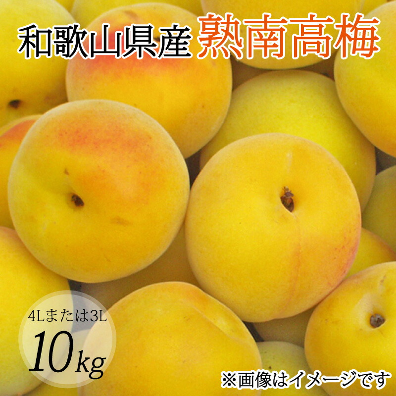 【ふるさと納税】 【梅干・梅酒用】（4Lまたは3L－10kg）熟南高梅＜2025年6月上旬～7月上旬ごろに順次発送予定＞(お届け日指定不可)