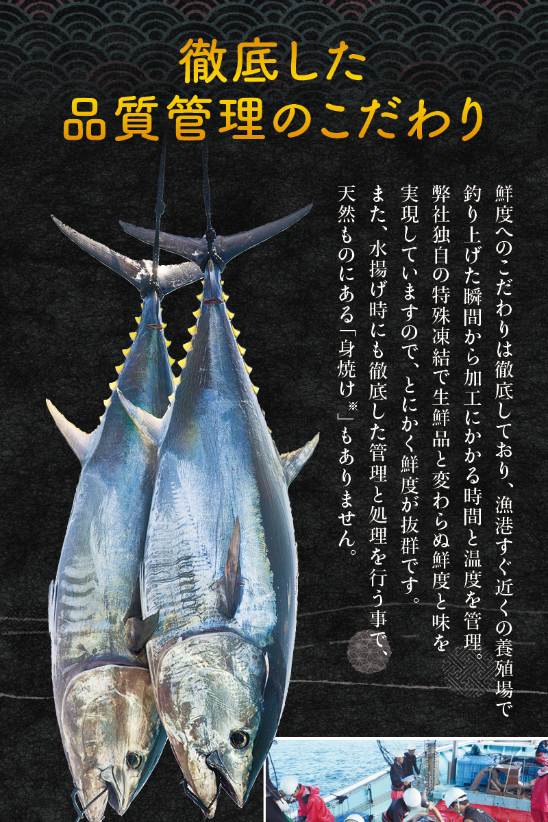 市場 ふるさと納税 まぐろ 赤身セット トロ 鮪 本鮪 刺身 本マグロ 養殖 1,350g クロマグロ