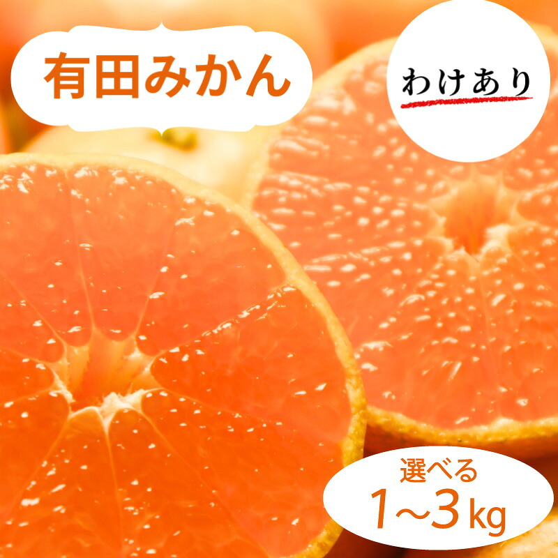 【ふるさと納税】 和歌山県産 有田みかん 訳あり 選べる容量 1kg ~ 3kg ※2026年10月中旬~2027年1月中旬頃に順次発送予定(お届け日指定不可) ミカン 柑橘 みかん 和歌山 有田|和歌山県古座川町