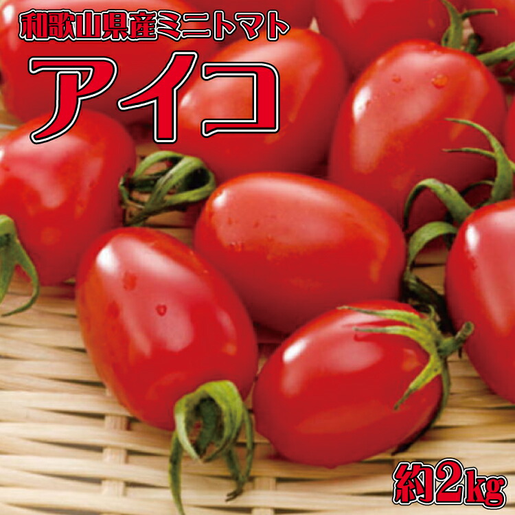 【ふるさと納税】 和歌山産ミニトマト「アイコトマト」約2kg（S・Mサイズおまかせ）【配送月をお選びいただけます】