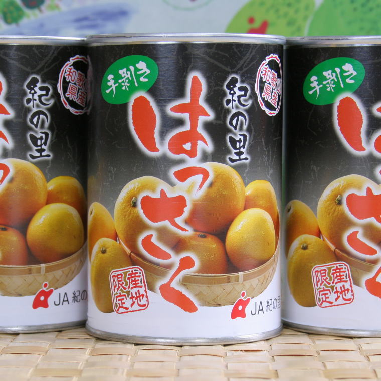 【ふるさと納税】 和歌山産手剥き八朔缶詰450g×8缶入り＜2024年5月～順次発送＞ 13,680円