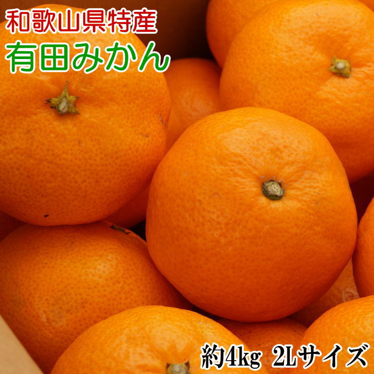 秀品 和歌山有田みかん約4kg 2Lサイズ ※2022年11月中旬〜2023年1月下旬頃に順次発送予定 お届け日指定不可 少し豊富な贈り物