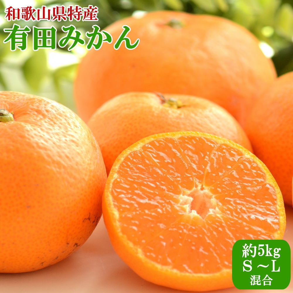 【ふるさと納税】 [秀品]和歌山有田みかん約5kg（S～Lサイズ混合）※2026年11月中旬～2027年1月中旬頃に順次発送（お届け日指定不可）｜和歌山県古座川町