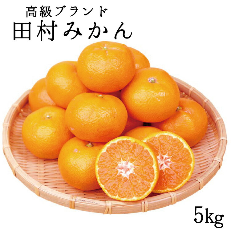 高級ブランド田村みかん 5kg※2022年11月下旬〜2023年1月下旬に順次発送予定 お届け日指定不可 【SALE／76%OFF】