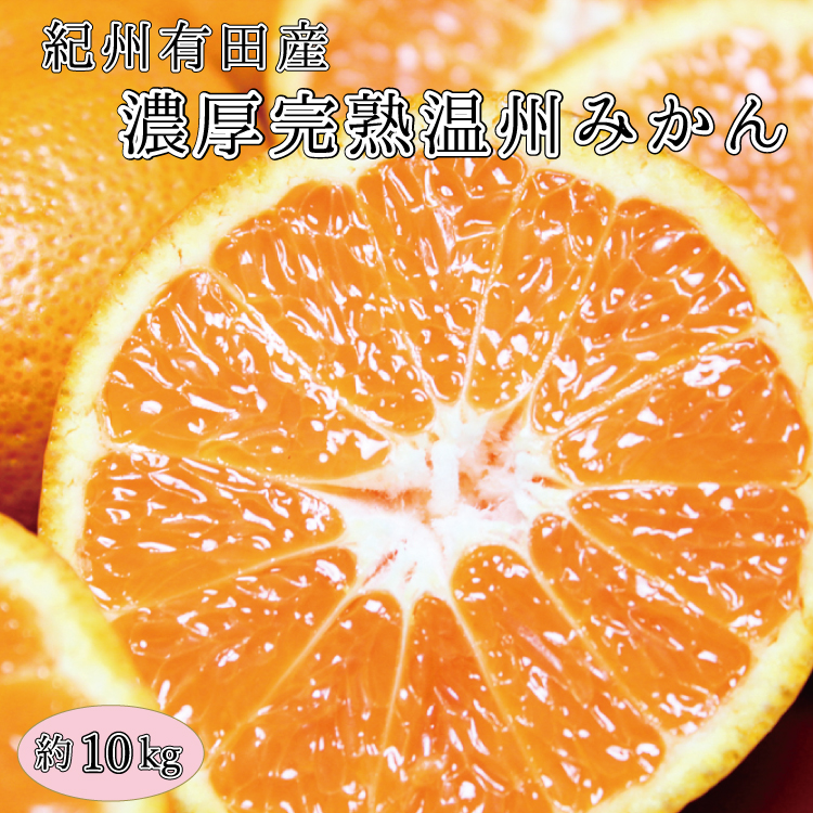 商舗 完熟有田みかん 10kg 先行予約 ※2022年11月下旬〜2023年1月下旬頃に順次発送予定 お届け日指定不可 みかん 柑橘類 fucoa.cl