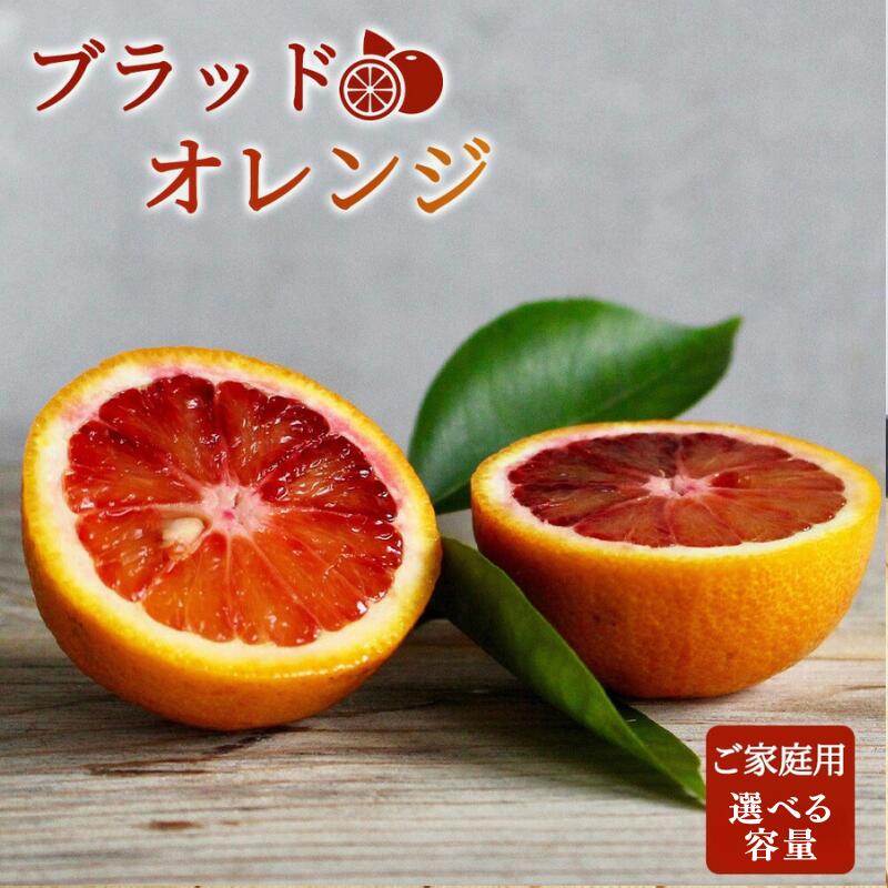 【ふるさと納税】希少な柑橘!紀州有田産ブラッドオレンジ選べる容量 約3kg ・約5kg【ご家庭用】※2026年3月上旬頃～3月中旬頃に順次発送 (お届け日指定不可)