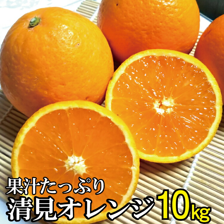 ふるさと納税 フルーツジュース大層 清見ベニミカン およそ10kg 有機生来肥100 22年間3月灯かり上旬一段と順次逓送見込 お届け平均太陽日決める不可 Fashionwhirled Com