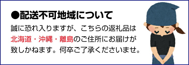 市場 ふるさと納税 超熟有田みかん3.5kg+105g 家庭用 わけあり 菊みかん入り 訳あり 傷み補償分