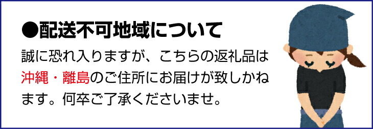 ふるさと納税 フルーツつゆ100 0お負 リッチ絞りの清見オレンジ色であること率直ジュース 1000ml 4ブック組み 果汁100 ジュース みかんジュース オレンジジュース 清見オレンジ ミカン Cannes Encheres Com