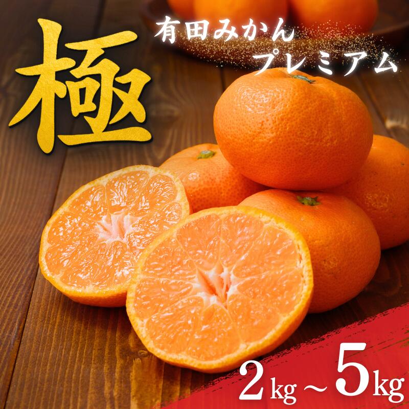 【ふるさと納税】 《レビューキャンペーン実施中！》みかん 極 有田みかん プレミアム 約 2kg 5kg  選べる容量 【光センサー高糖度選別品】 2S～Lサイズ  みかん ミカン 柑橘 フルーツ 果物 くだもの 有機質肥料100% ※2025年11月下旬～2026年1月上旬頃に順次発送予定