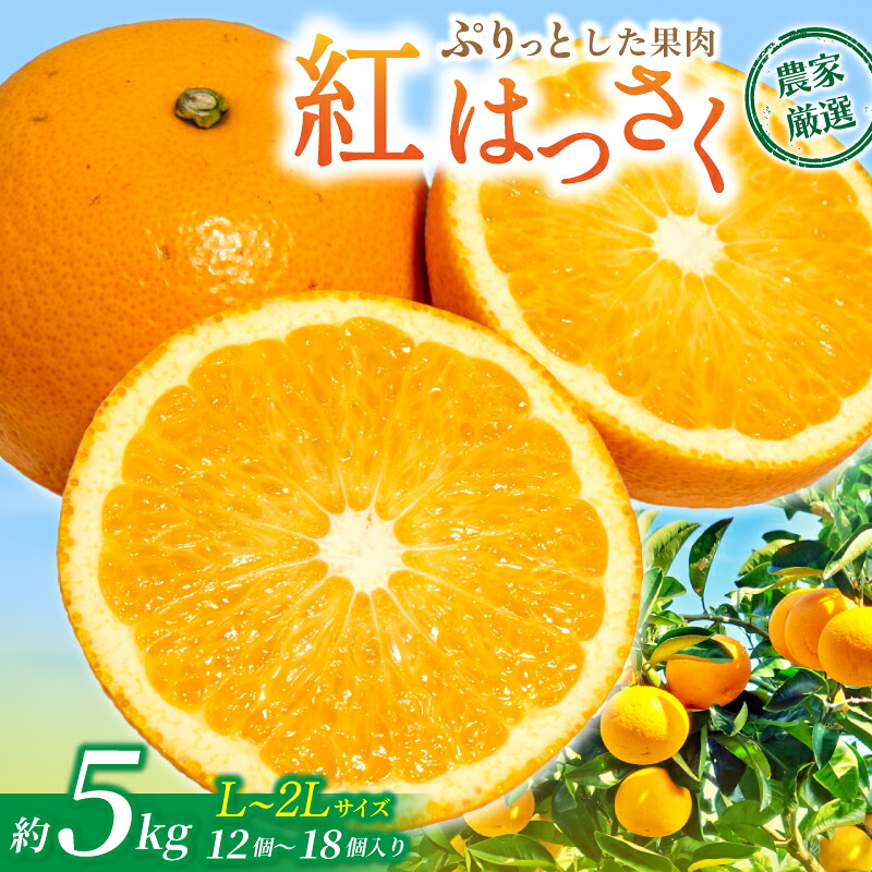 【ふるさと納税】【先行予約】【数量わずか】あふれる果汁！ 希少な紅はっさく 秀品 5kg L～２L 2027年2月初旬～2027年3月中旬に順次発送予定（お届け日指定不可） | ハッサク 八朔 紅八朔 紅はっさく フルーツ 柑橘 蜜柑 果物 くだもの【kgr006A】｜和歌山県北山村
