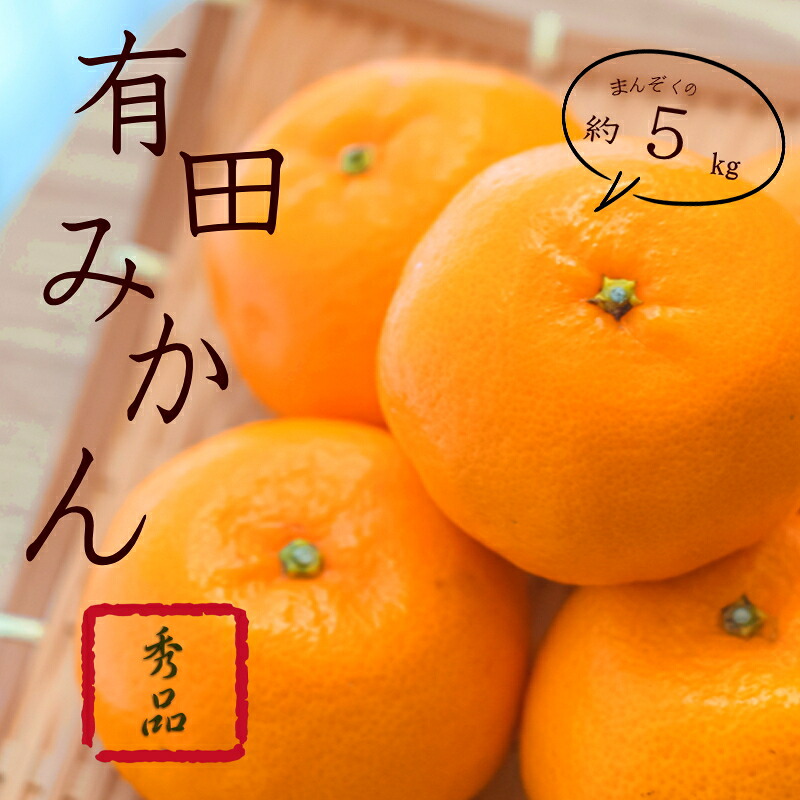 【ふるさと納税】紀州有田みかん 秀品 約５kgサイズおまかせ(Ｌ・М・Ｓ)※2026年11月下旬～2027年1月中旬頃に順次発送予定｜和歌山県北山村