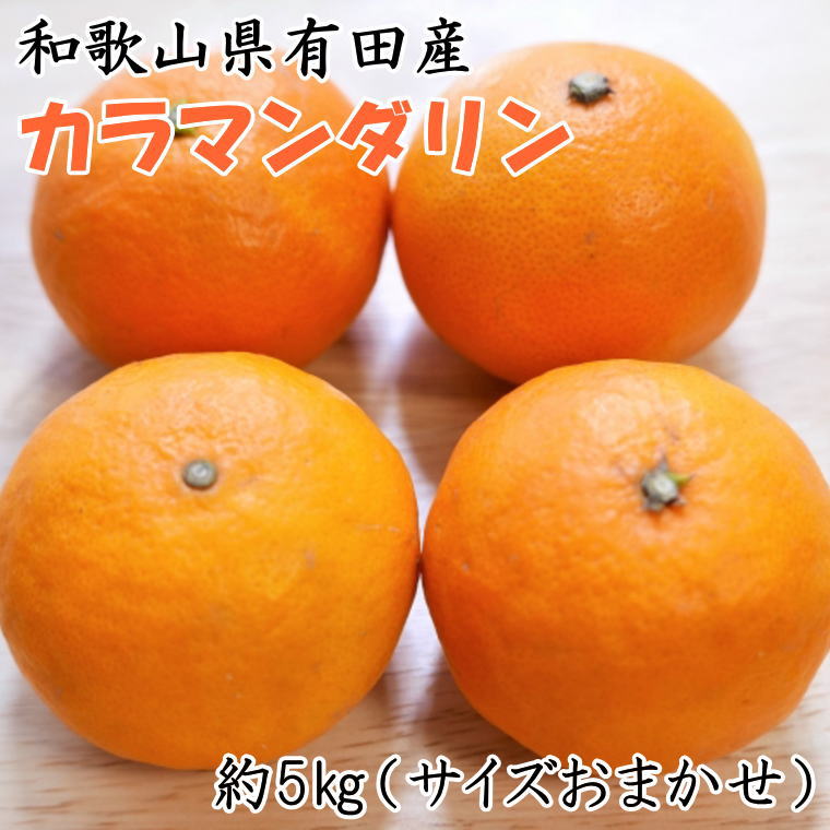 【ふるさと納税】【春みかん】和歌山有田産カラマンダリン約5kg(サイズおまかせ)※2026年4月上旬～2026年5月中旬頃に順次発送【tecj1022】