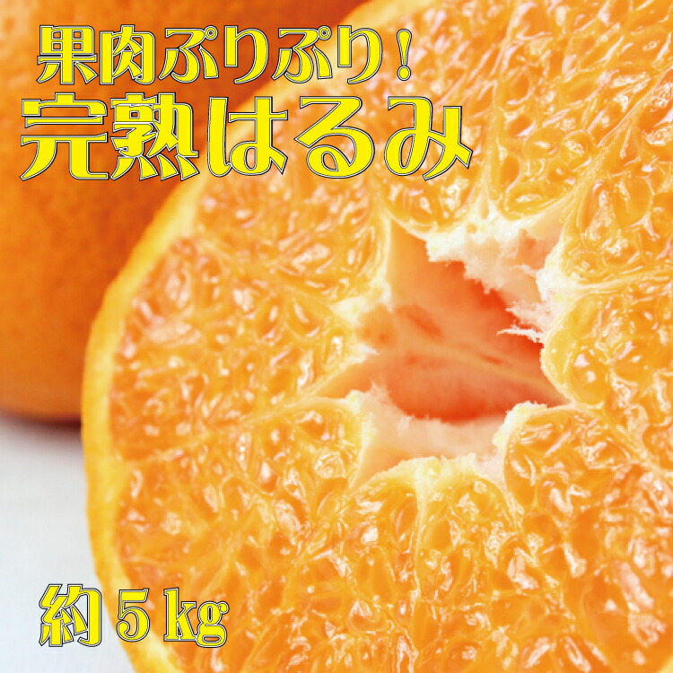 果肉ぷりぷり 完熟はるみ5kg ※2023年2月上旬頃〜2023年2