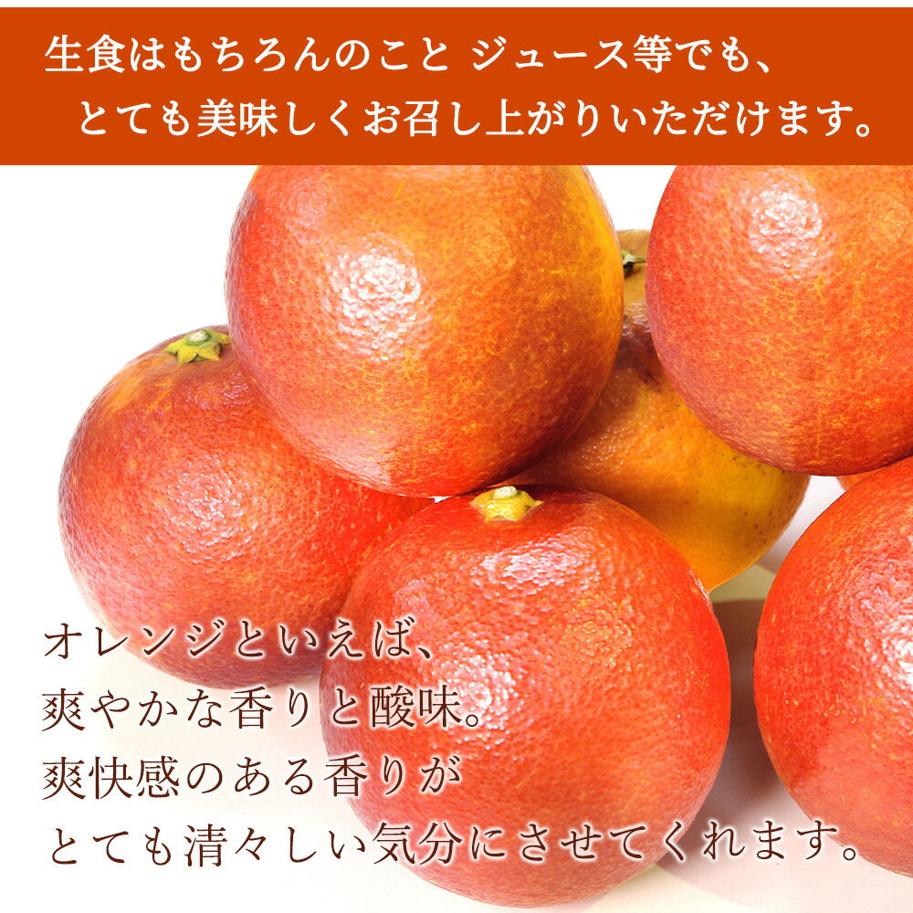 【ふるさと納税】 希少な柑橘!紀州有田産ブラッドオレンジ約3kg 【ご家庭用】※2026年3月上旬頃～3月中旬頃に順次発送 (お届け日指定不可)
