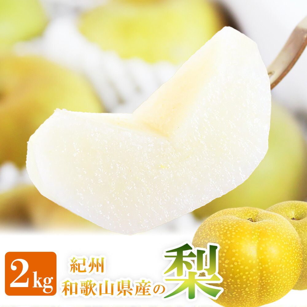 【ふるさと納税】 梨 紀州和歌山産 の 梨 2kg 化粧箱入 ※2025年8月下旬頃～2025年9月上旬頃に順次発送 ※日付指定不可 梨 なし ナシ 果物 くだもの フルーツ 甘い