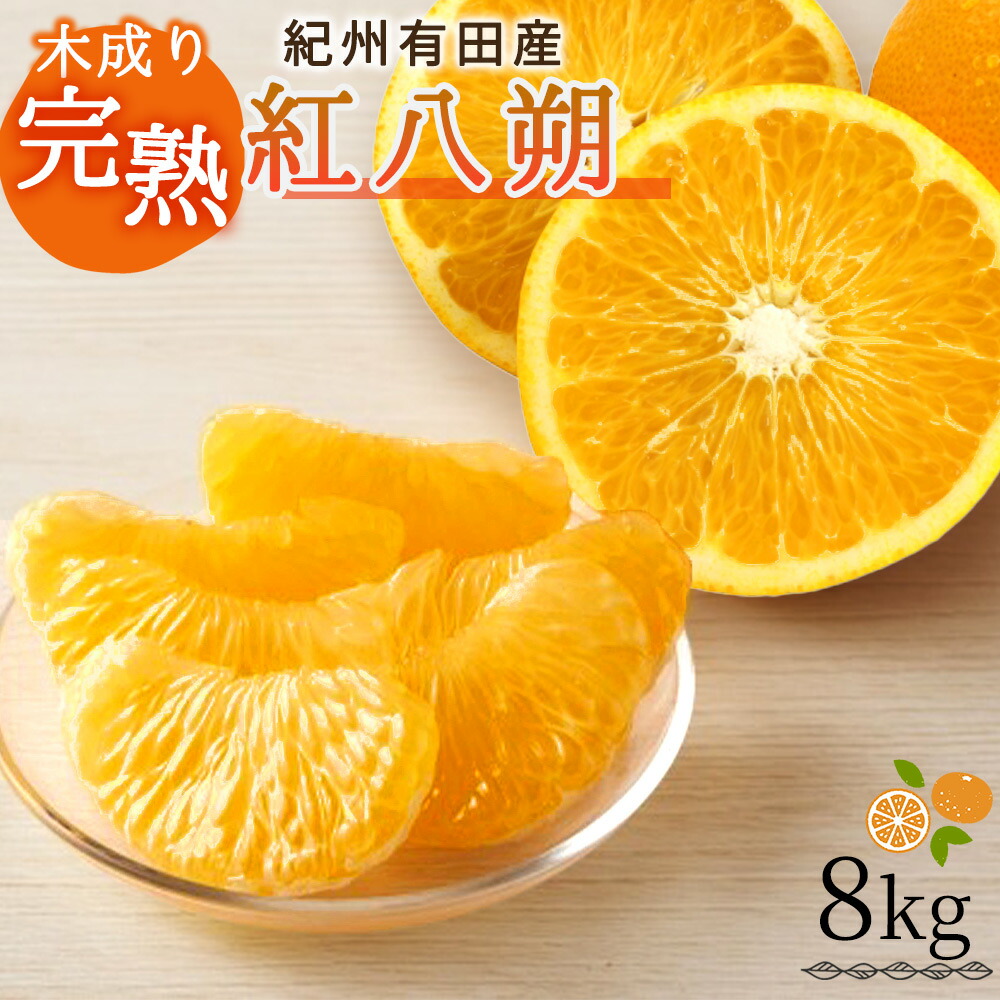 【ふるさと納税】 【先行予約】紀州有田産木成り完熟紅八朔８kg ※22027年2月下旬頃～3月中旬頃に順次発送予定（お届け日指定不可）/ みかん 不知火 和歌山 フルーツ 有田｜和歌山県北山村