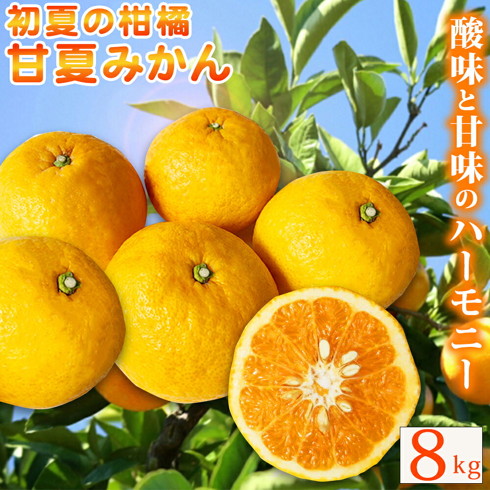 【ふるさと納税】【ご家庭用訳あり】紀州有田産 すっきり爽やか 甘夏みかん 8kg ※2027年3月中旬頃～3月下旬頃に順次発送予定（日時指定不可） / 甘夏 あまなつ みかん ミカン 蜜柑 温州みかん 柑橘 フルーツ 果物 くだもの 和歌山｜和歌山県北山村