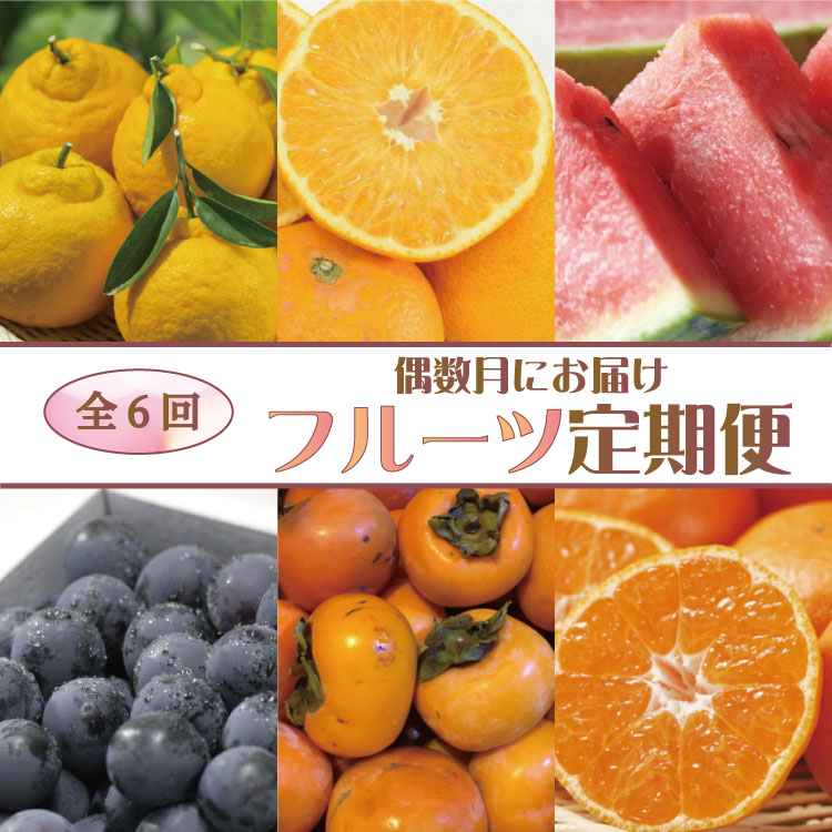 日本に 偶数月にお届け 和歌山のフルーツ堪能定期便 不知火 木成り八朔 すいか 巨峰 たねなし柿 有田みかん fucoa.cl