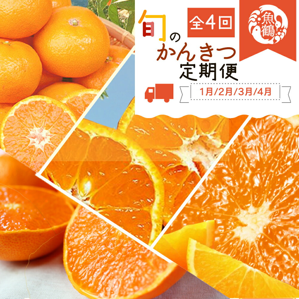 【ふるさと納税】 【4か月定期便】旬の柑橘定期便 / みかん ミカン 柑橘 オレンジ 果物 くだもの フルーツ フルーツ定期便 和歌山【tkb416】