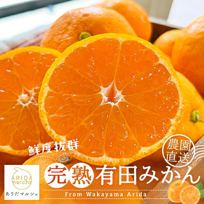 【ふるさと納税】 農園直送！完熟有田みかん 【選べる容量】 温州みかん ミカン 蜜柑 柑橘 果物 くだもの フルーツ 有田ミカン 人気 旬 甘い 和歌山県 北山村 送料無料 ※2026年12月上旬～12月下旬頃に順次発送予定（お届け日指定不）北海道・沖縄・離島への配送不可