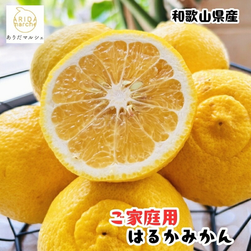 【ふるさと納税】 ＜1月下旬～＞【先行予約】【人気柑橘】有田育ちの はるか みかん（訳あり 家庭用）【約1～10kg 】※2027年1月下旬～3月下旬頃に順次発送予定