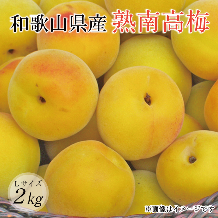 木でしっかり完熟‼️和歌山県産 色付き紅南高梅 2Lサイズ 2kg