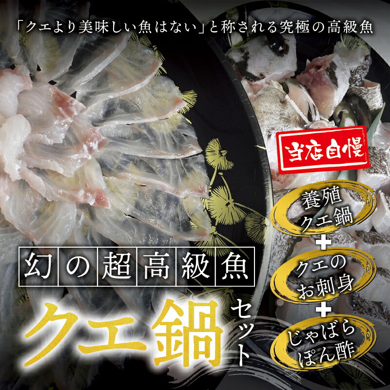 養殖クエ鍋500gとくえ刺身150g じゃばらぽん酢100ml付 ふるさと 納税 串本町 串本 北山村 北山 お取り寄せ お取り寄せグルメ 取り寄せ 食品さしみ お刺身 刺身 鍋 お鍋 くえ クエ 高級 鍋セット 返品交換不可