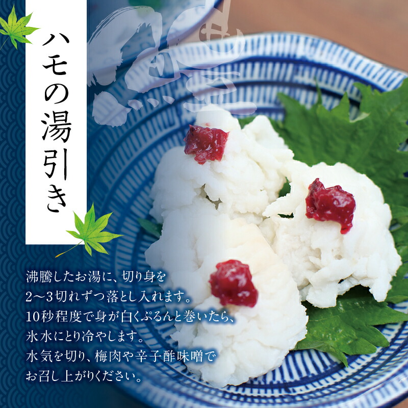 超目玉 国産 骨切り済み 天然活はも 400g じゃばらポン酢100ml付き 鱧 ハモ 湯引き 和歌山県産 天ぷら しゃぶしゃぶ 鍋 Fucoa Cl