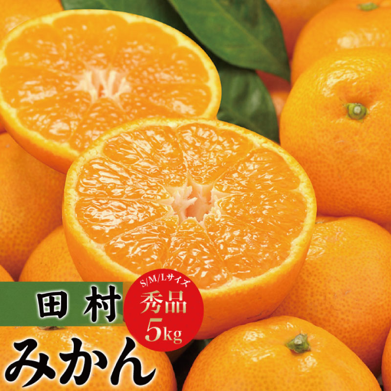 【ふるさと納税】 田村みかん 秀品5キロ サイズおまかせ/紀伊国屋文左衛門本舗 ◆2026年11月下旬～2027年1月中旬頃に順次発送予定(お届け日指定不可)【予約受付】｜和歌山県北山村