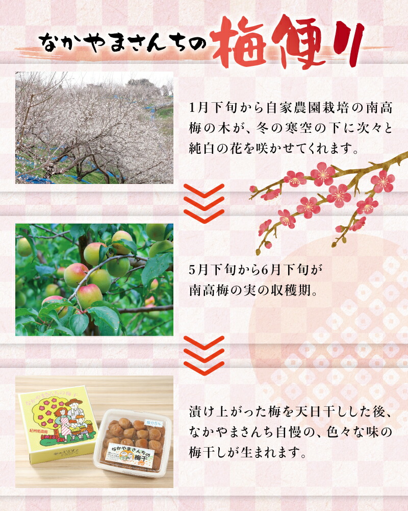 ふるさと納税 なかやまさんちの梅干 南紀老梅 ハチミツ入 木箱入り 塩分10% ふるさと納税 なかやまさんちの梅干 南紀老梅 ハチミツ入 木箱入り 塩分10%