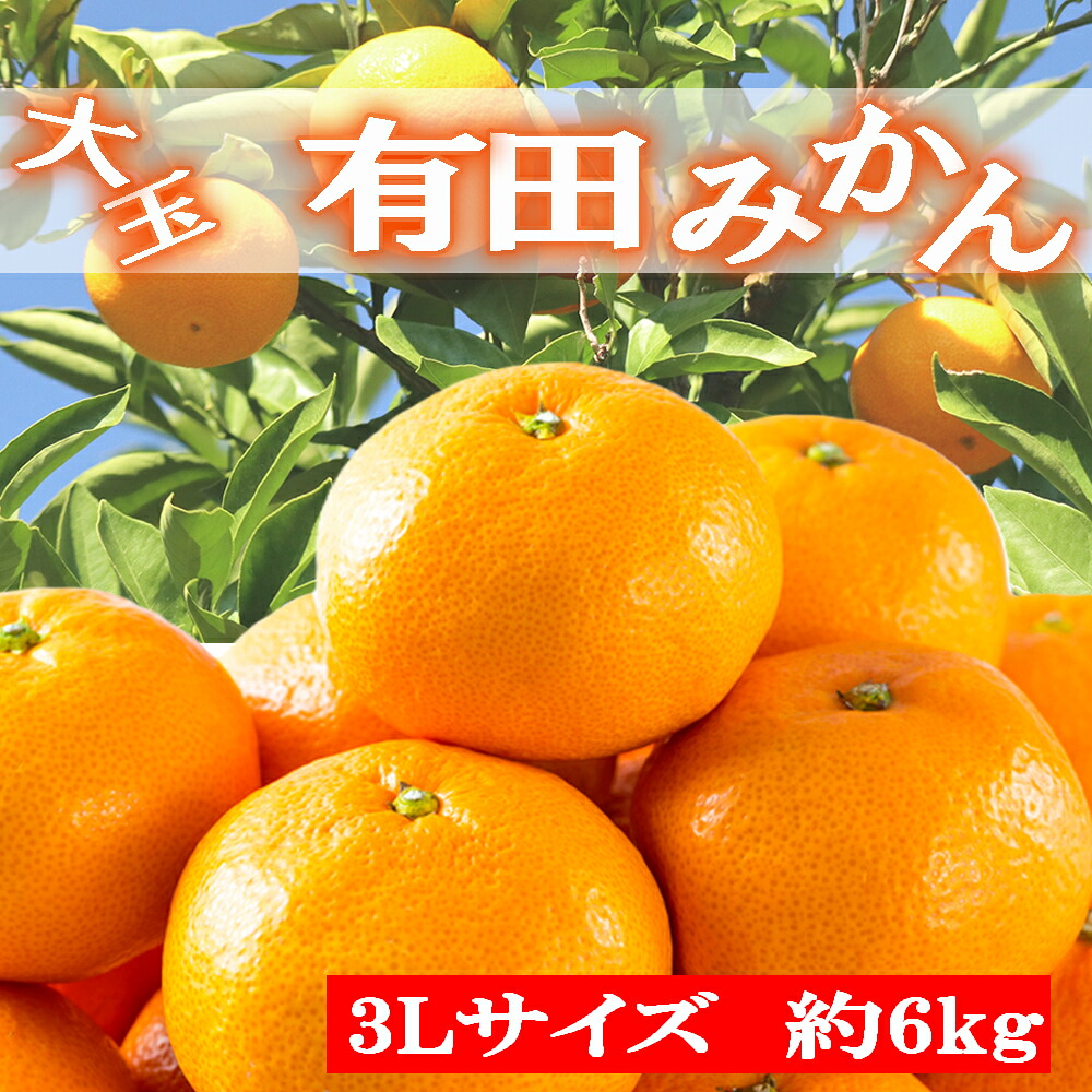 【ふるさと納税】 [秀品]和歌山有田みかん 6kg(3Lサイズ) ※2026年11月中旬～2027年1月中旬頃順次発送予定（お届け日指定不可）｜和歌山県北山村