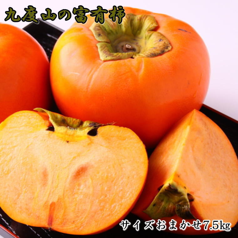 【ふるさと納税】 【柿の名産地】九度山の富有柿約7.5kgサイズおまかせ※2026年11月中旬～2026年12月上旬頃に発送 （お届け日指定不可）