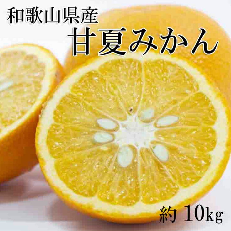 公式の 和歌山県産甘夏みかん約10kg サイズおまかせ ※2023年2月上旬より順次発送予定 お届け日指定不可 fucoa.cl