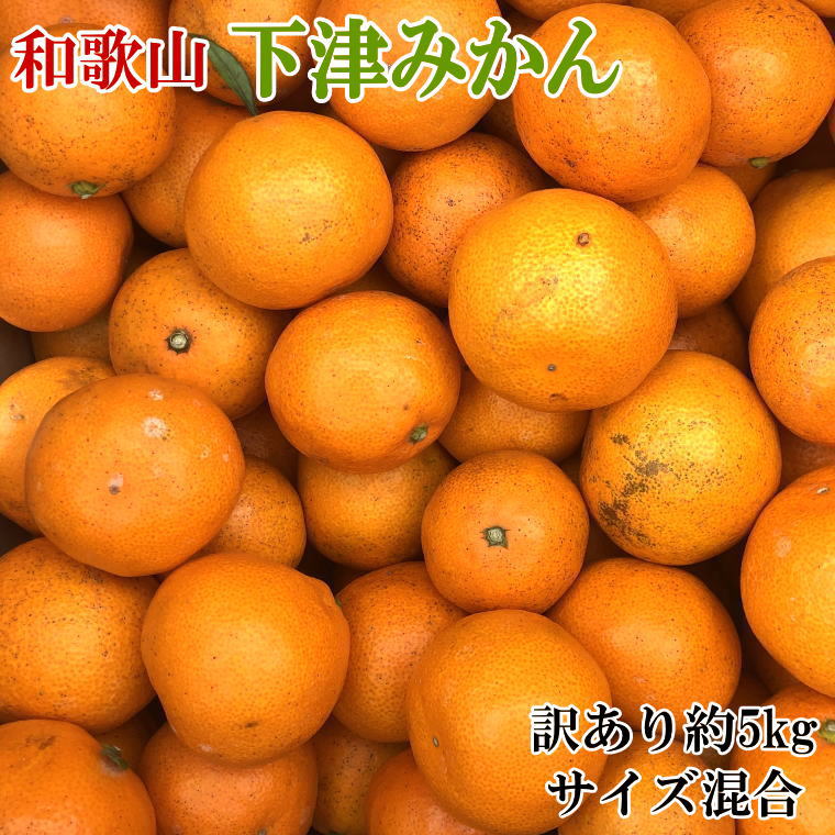 【ふるさと納税】 【訳あり】和歌山下津みかん約5kgご家庭用向け(サイズ混合) ※2026年11月中旬～2027年1月中旬頃順次発送予定（お届け日指定不可）｜和歌山県北山村