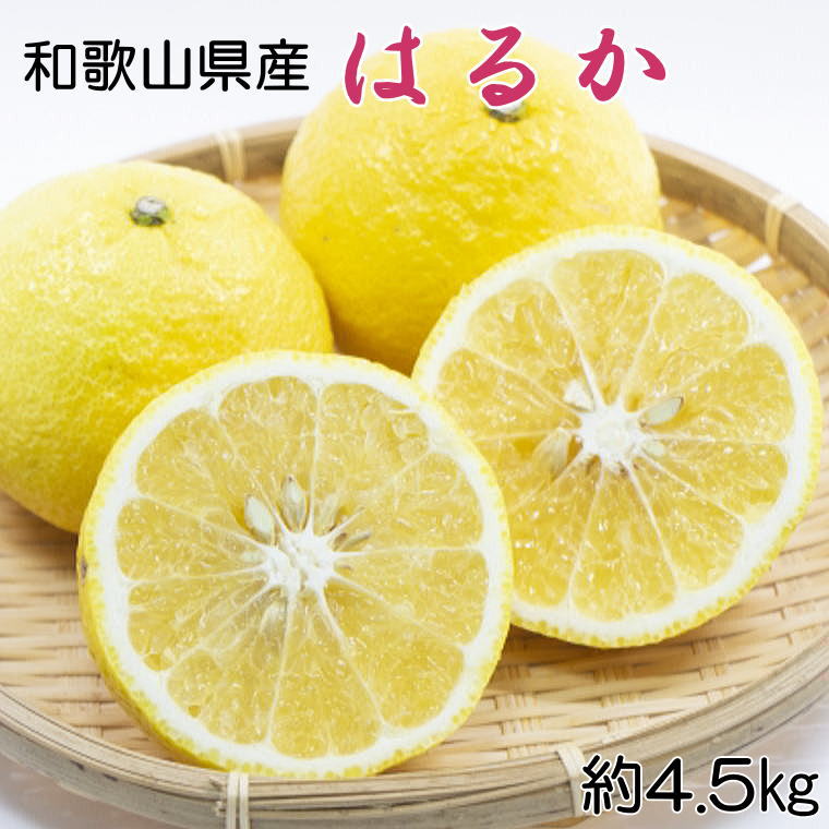 【ふるさと納税】 【さわやか柑橘】和歌山県産はるかみかん約4.5kg（サイズ混合 秀品） ※2027年2月下旬～2027年3下旬頃順次発送｜和歌山県北山村 9,240円
