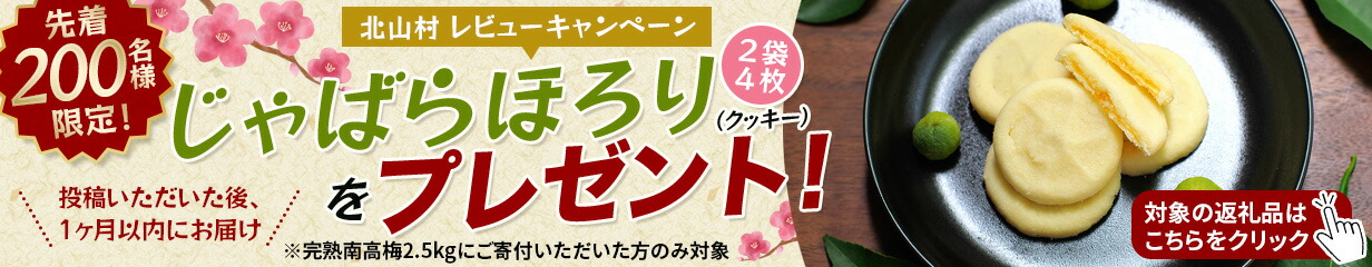 楽天市場】【ふるさと納税】和歌山アロチ本家 丸高中華そば 3食入×3箱