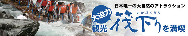 楽天市場】【ふるさと納税】最高級紀州南高梅大粒・はちみつ梅干し 1.4kg【ご家庭用】 梅干し 梅干 はちみつ : 和歌山県北山村