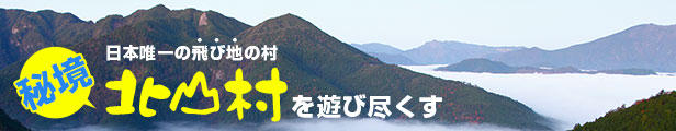 楽天市場】【ふるさと納税】最高級紀州南高梅大粒・はちみつ梅干し 1.4kg【ご家庭用】 梅干し 梅干 はちみつ : 和歌山県北山村