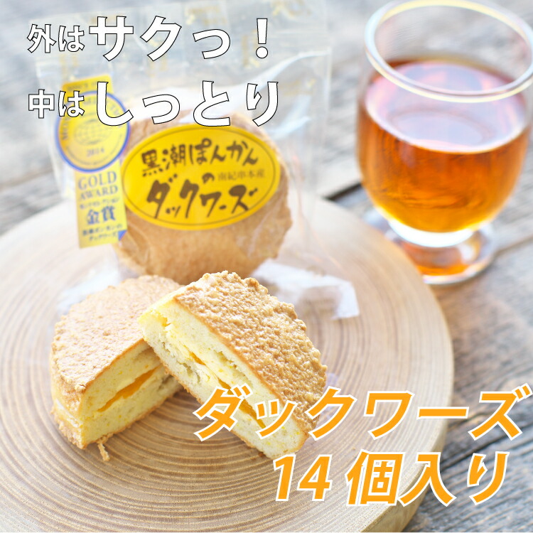 【ふるさと納税】 黒潮ぽんかんのダックワーズ(14個入り)