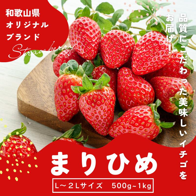 【ふるさと納税】 【先行予約】まりひめ いちご  12粒～15粒入り×2パック or 4パック（500g or 1kg） 2026年1月中旬頃～2026年3月中旬頃に順次発送予定（お届け日指定不可）/ いちご 苺 まりひめ 和歌山 フルーツ  果物 くだもの