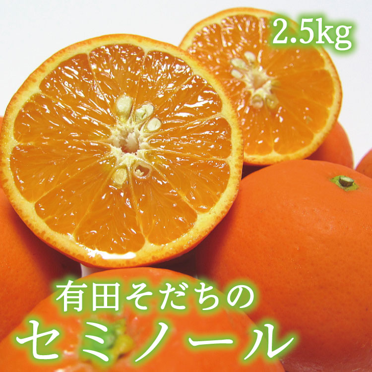 有田育ちの爽快セミノールオレンジ(ご家庭用) 約2.5kg ※2023年4月上旬〜4月下旬順次発送予定