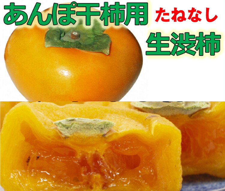 【ふるさと納税】 【県認定エコファーマー】あんぽ柿用生渋柿（平たねなし柿） 約14.5～15kg-AP【2025年10月下旬頃から随時発送(日付指定不可)】